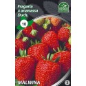 BRAŠKĖS FRIGO MALWINA A (10 vnt.)