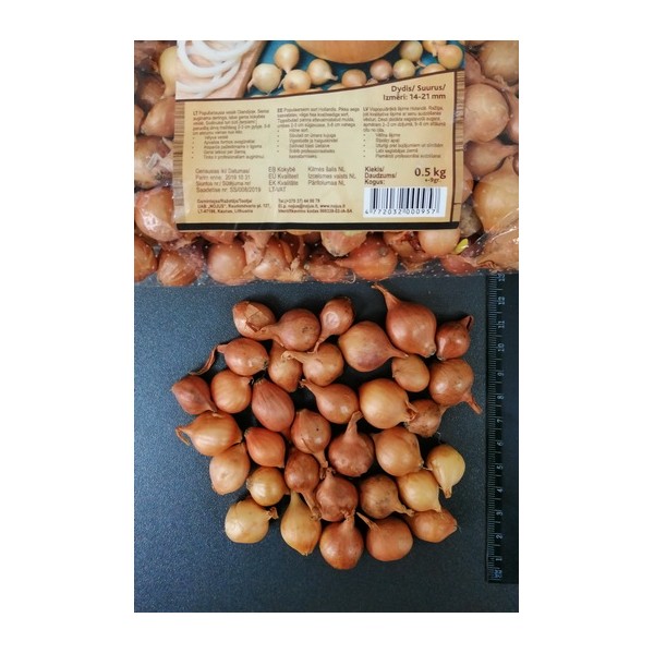 0.5kg STUTTGARTER RIESEN 14/21 VĖLYVI SVOGŪNŲ SODINUKAI
