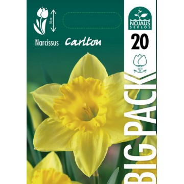 NARCIZAI BIG PACK CARLTON...
