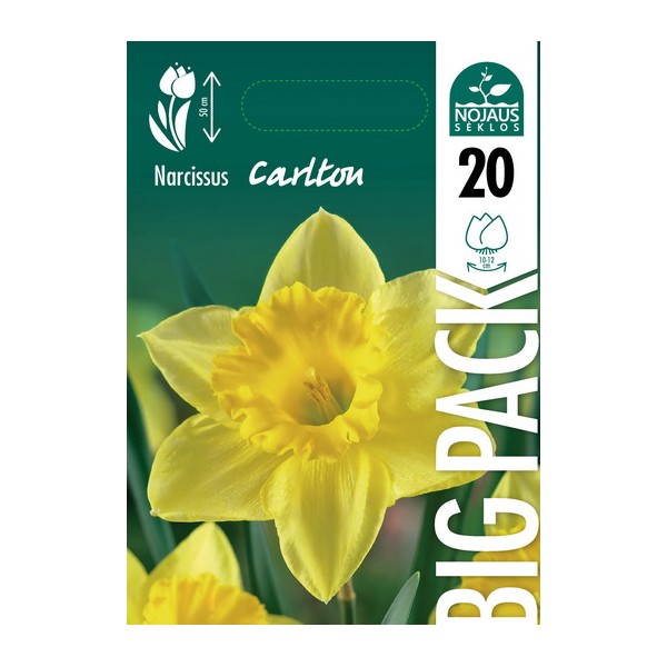 NARCIZAI BIG PACK CARLTON 20 vnt.