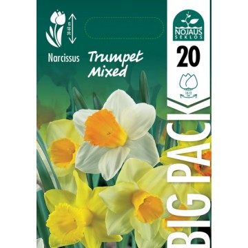 NARCIZAI BIG PACK TRUMPET...