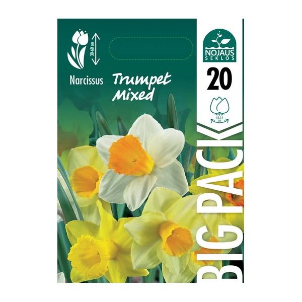 NARCIZAI BIG PACK TRUMPET MIX 20 vnt.