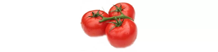 Pomidorai, pomidorų sėklos