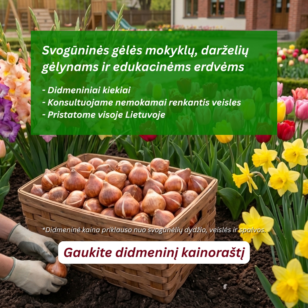 Gaukite didmeninį kainoraštį