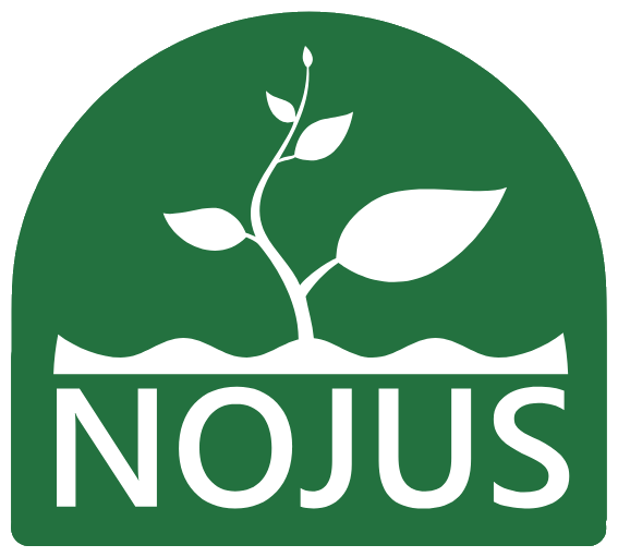 Nojaus sėklos internetu