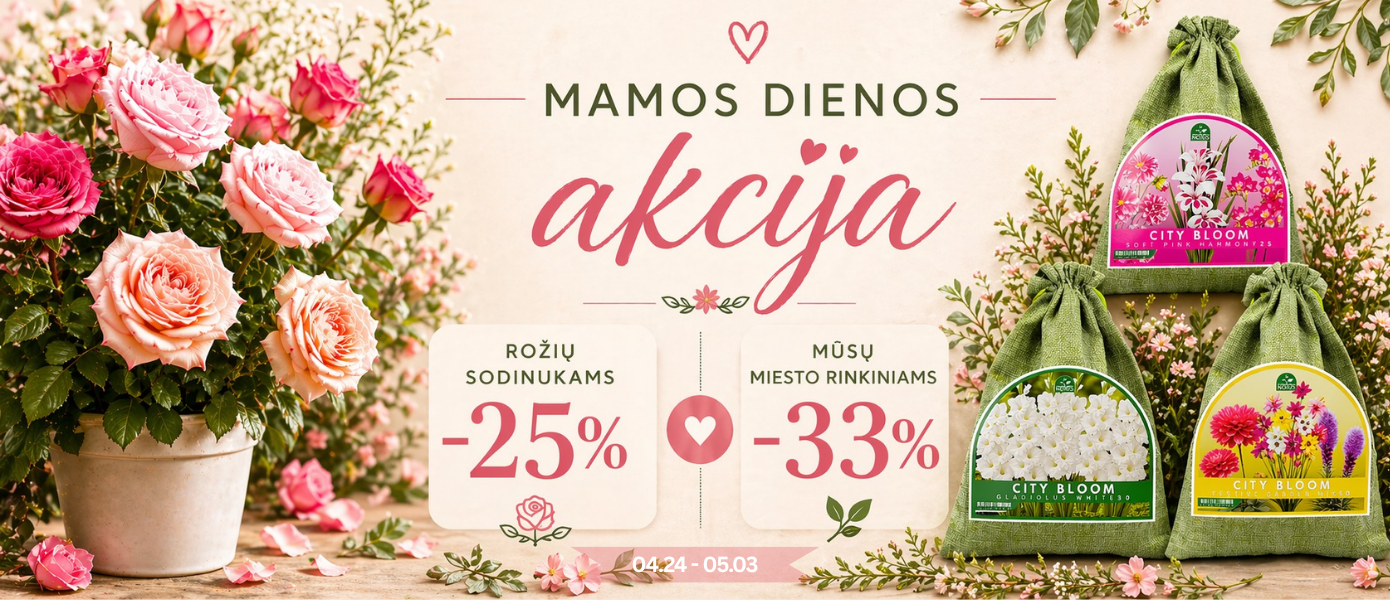 Mamos dienos AKCIJA
