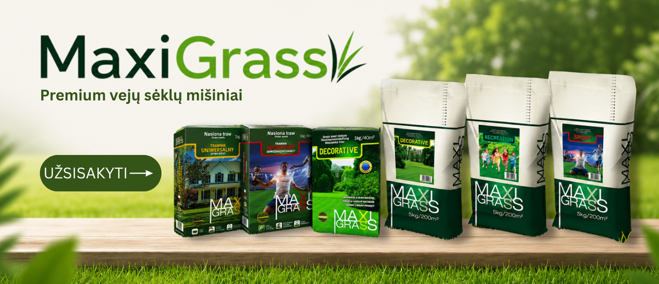 MAXI GRASS 