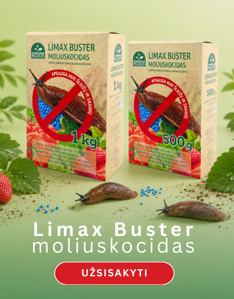 Moliuskocidai