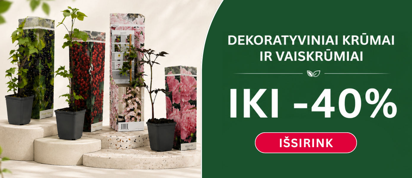 Sodinukai iki - 40%