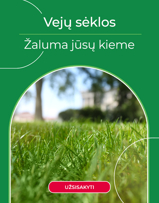Vejų sėklos