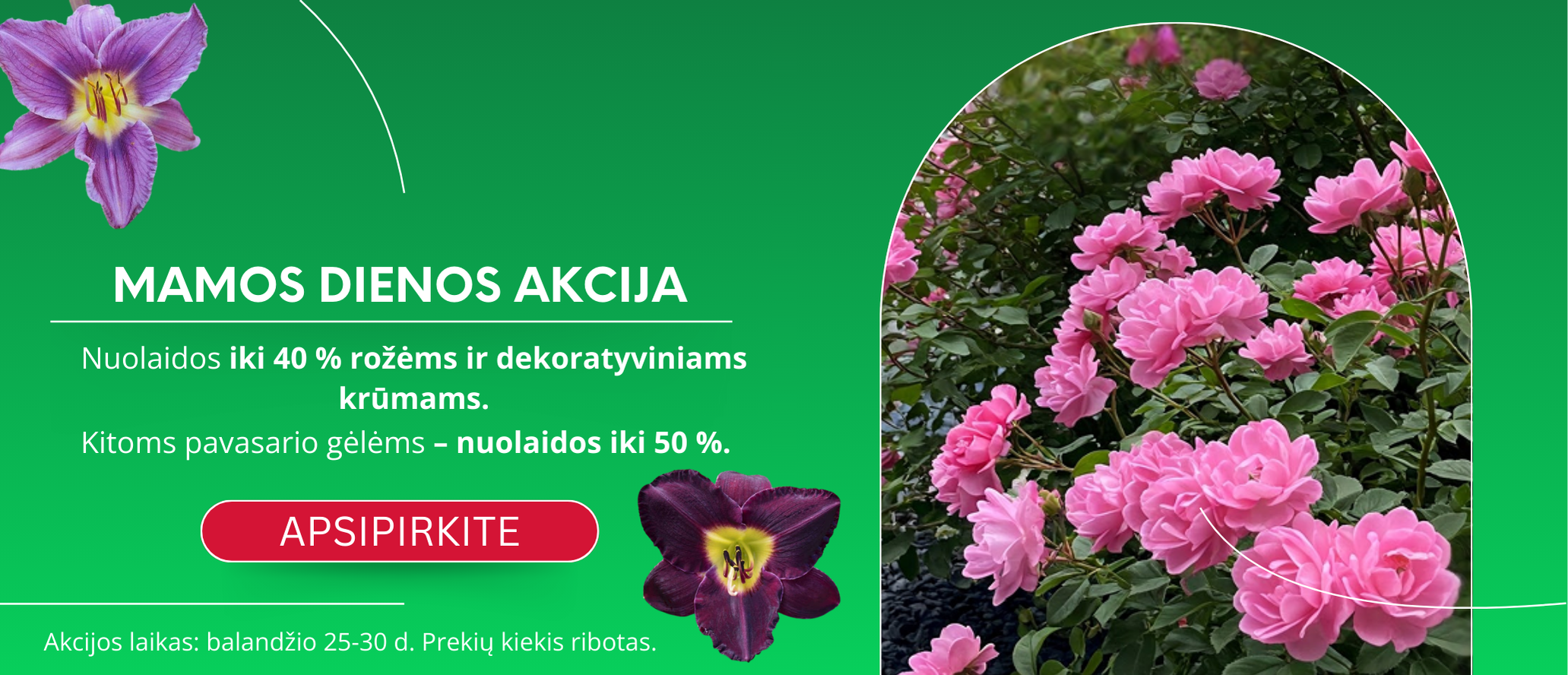 Mamos dienos AKCIJA