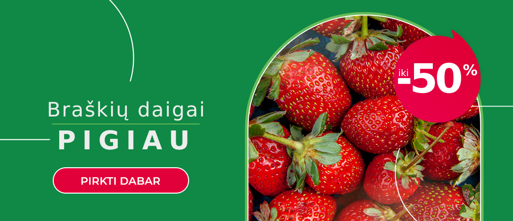 Braškių daigai iki -50%