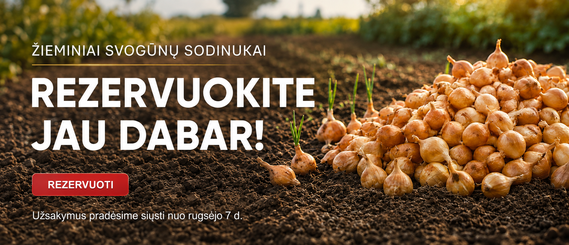 Svogūnų rezervacija LT