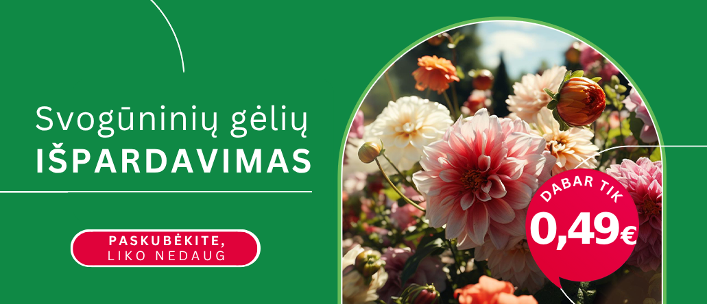 Svogūninės po 0,49€ LT