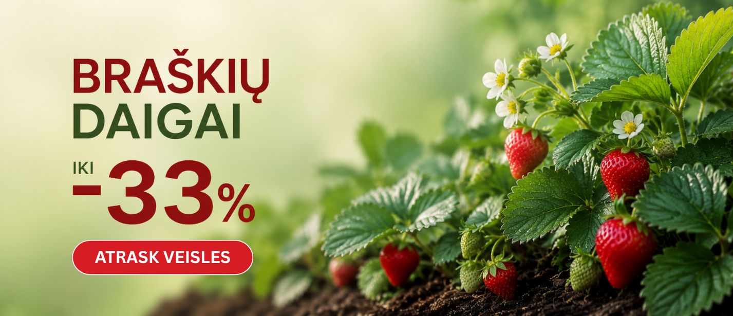 Braškės AKCIJA -33%