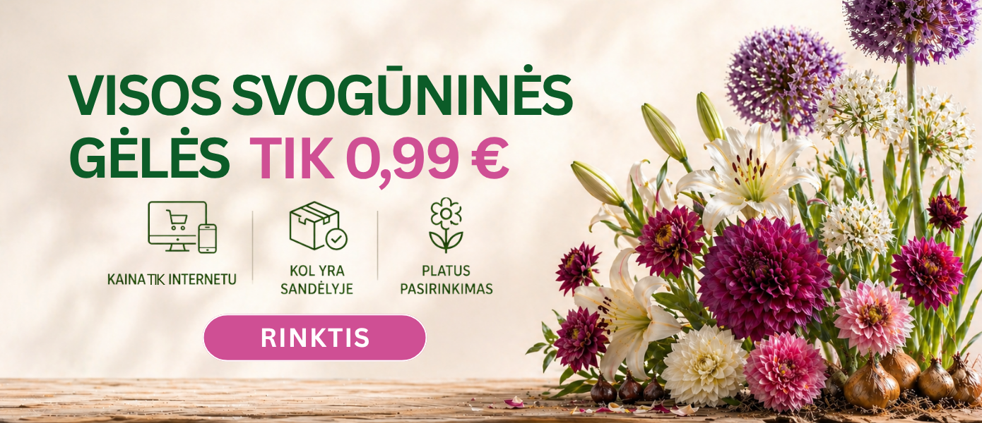 Svogūninės viena kaina 0,99€ 