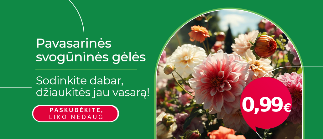 Svogūninės po 0,99€ LT