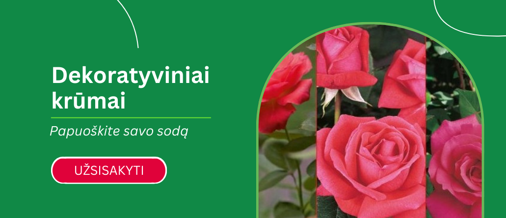 Dekoratyviniai krūmai