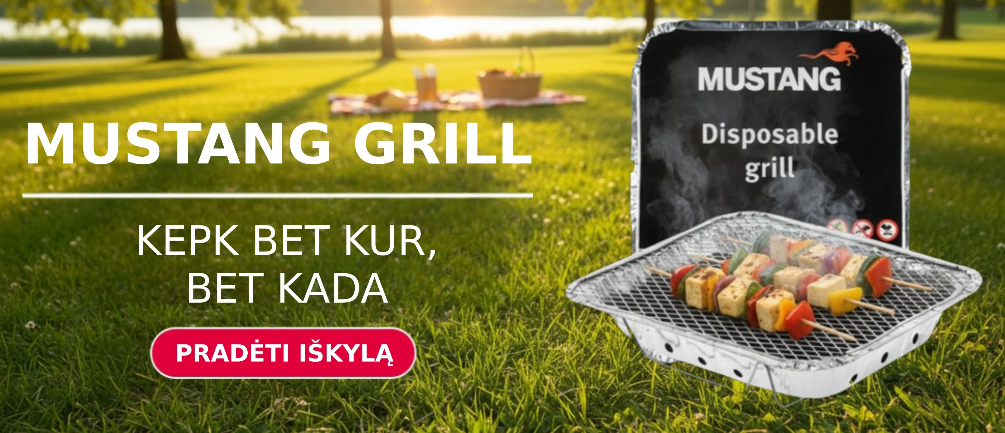 Mustang Grill LT