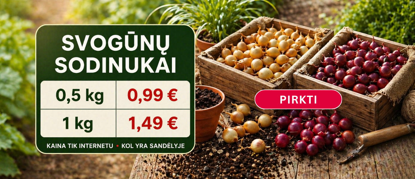 Svogūnų sodinukai IŠPARDAVIMAS
