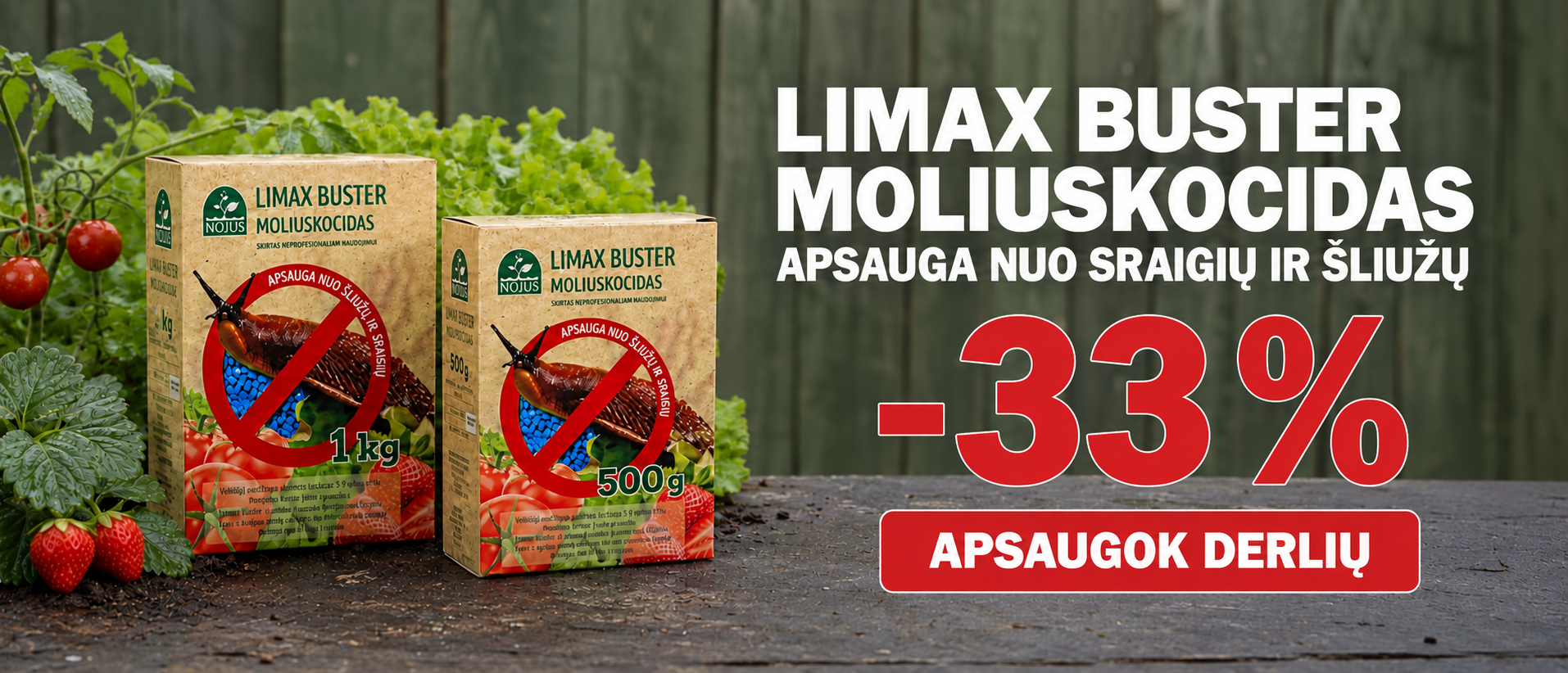 Moliuskocidai LT