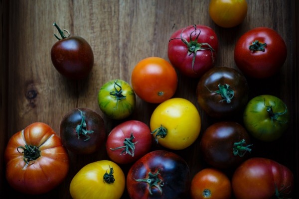 Pomidorų sėklos - kaip išsirinkti?