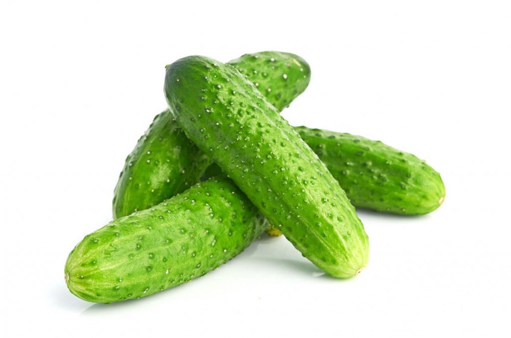 Agurkų rūšių palyginimo lentelė