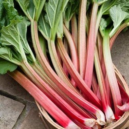 RABARBARAI – LIETUVIŠKIEJI KIVIAI