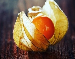 DUMPLŪNĖ – NETRADICINĖ DARŽOVĖ, TAČIAU AUGINAMA KAIP POMIDORAI