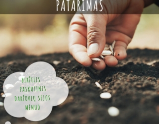 Birželis – paskutinis daržovių sėjos mėnuo