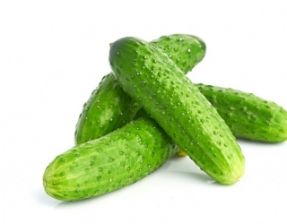 Agurkų rūšių palyginimo lentelė